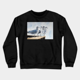 Seagulls sitting by the water Crewneck Sweatshirt